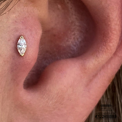 Tragus Piercing Guide: Pain, Healing Time & Aftercare