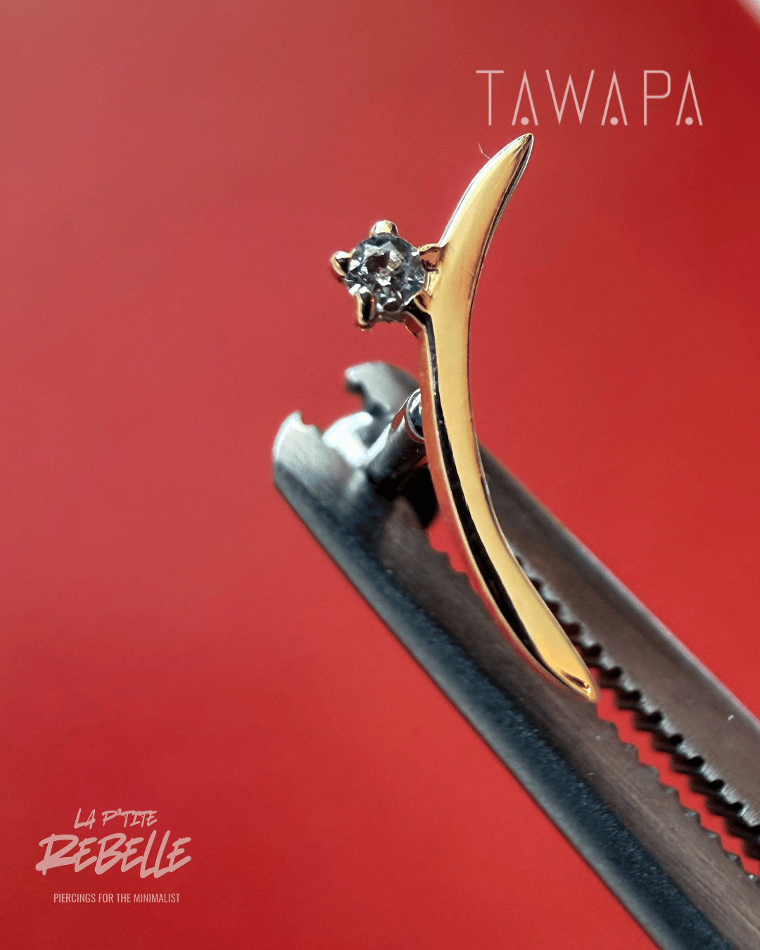 Tawapa gold piercing end Curve - White CZ