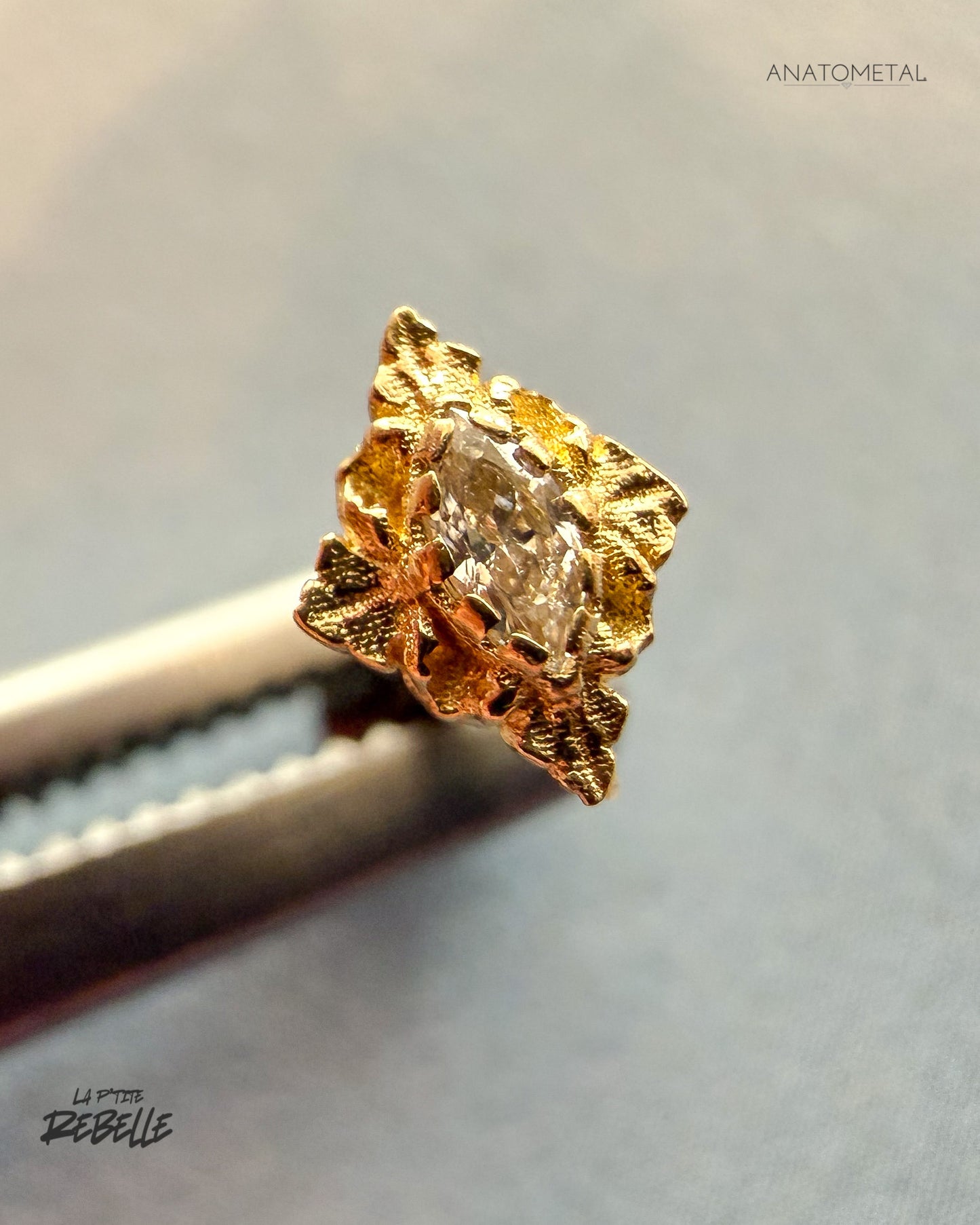 Manteca Marquise