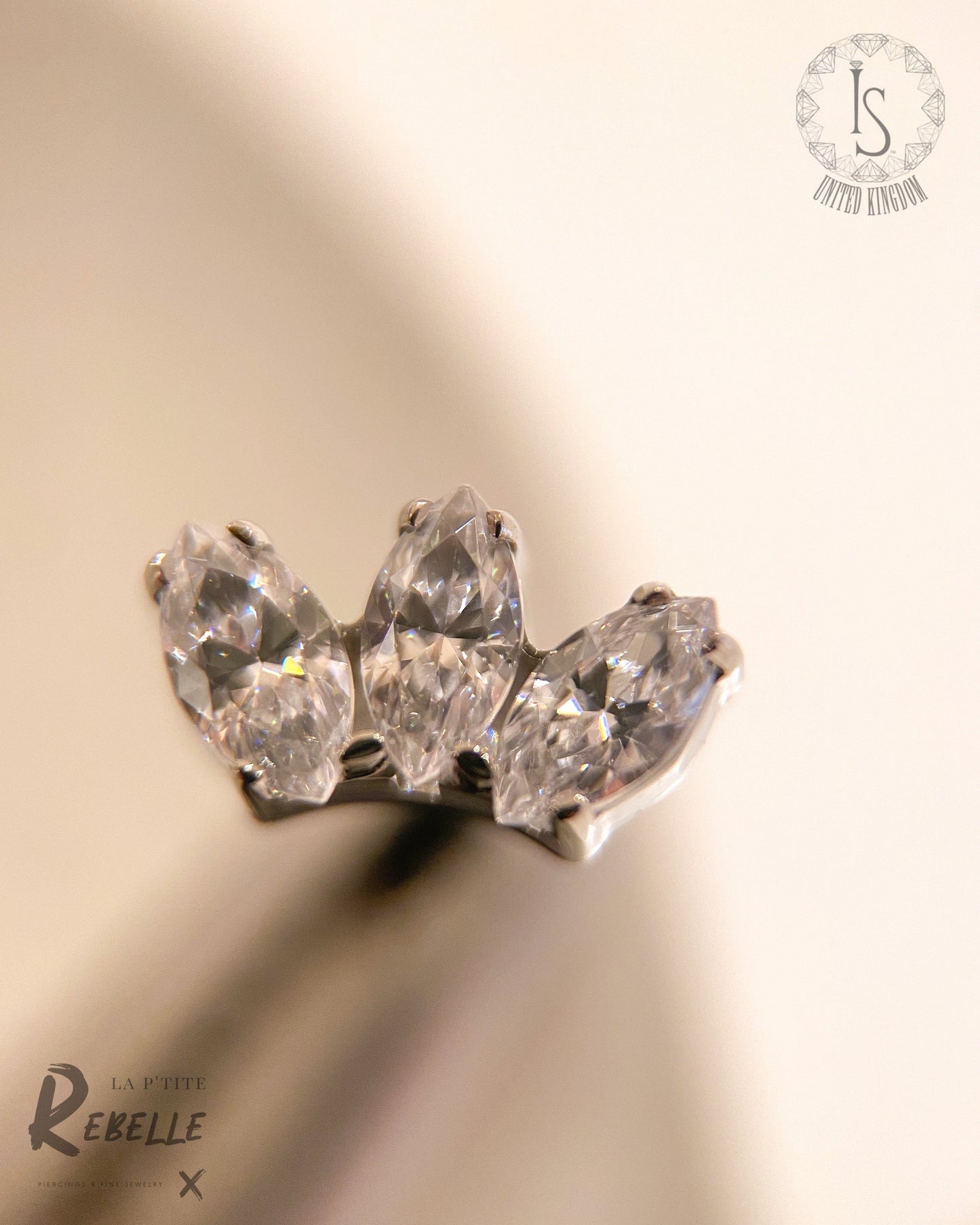 Industrial Strength Threadless Titanium Marquise Fan - Clear