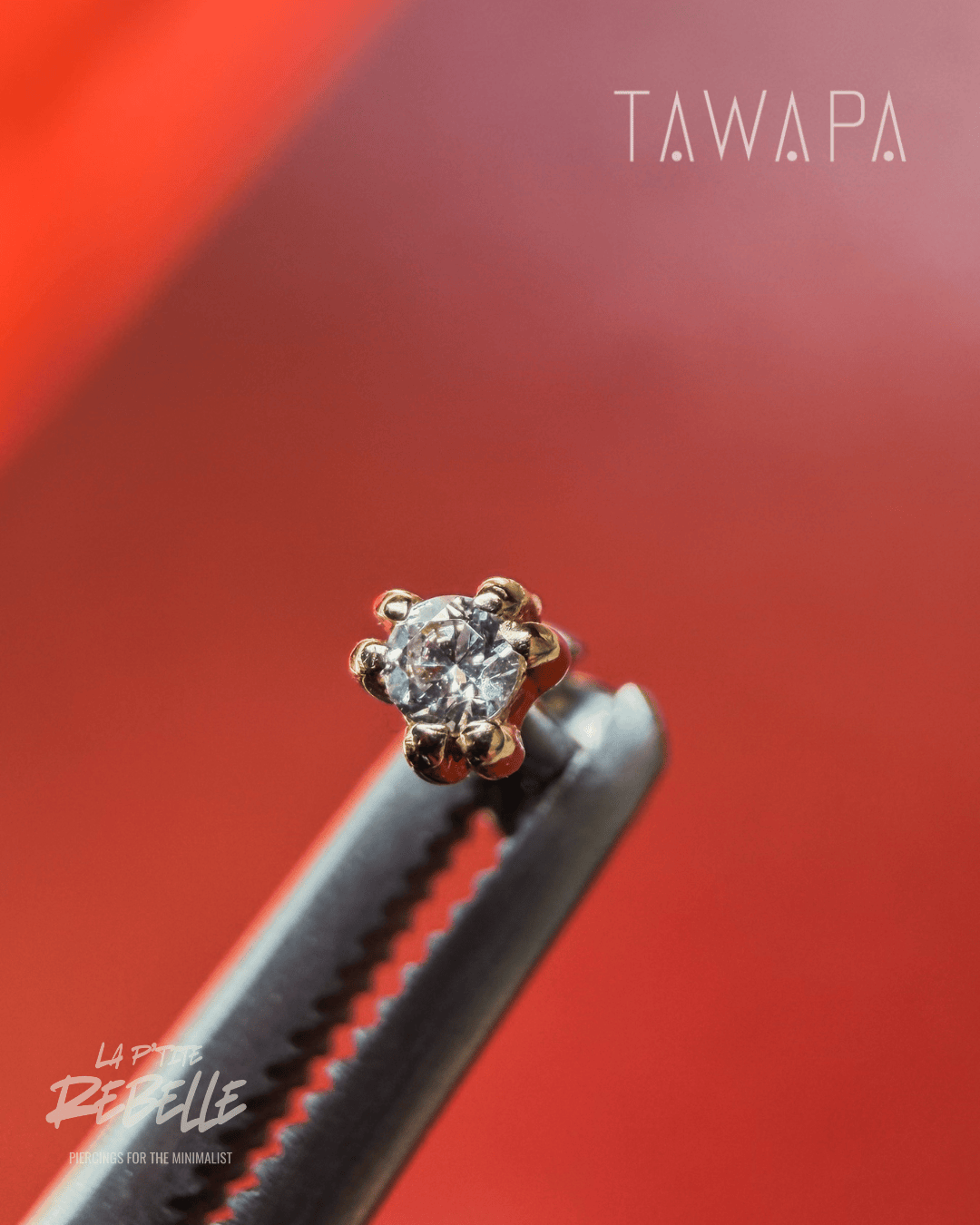 Tawapa gold piercing end Iris - White CZ