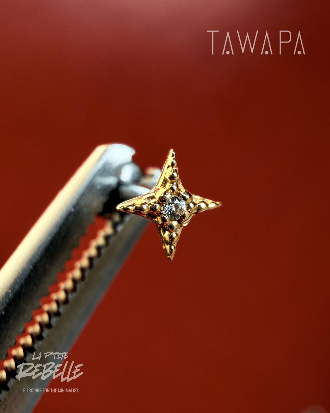 Tawapa gold piercing end Starlight - White CZ