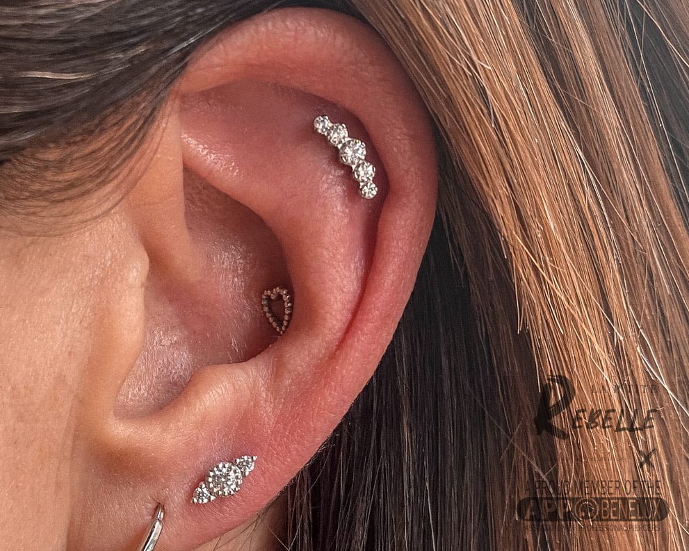 Industrial Strength Threaded Titanium Prium